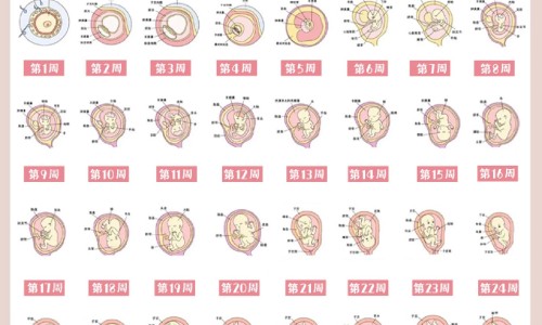 二型糖尿病人可以吃荔枝吗专区_二型糖尿病人能吃饼干吗专区_二型糖尿病人可以吃香油吗网