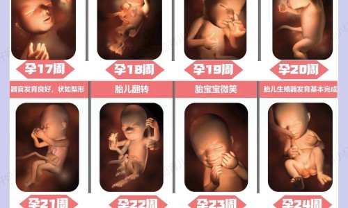 二型糖尿病人可以吃荔枝吗专区_二型糖尿病人能吃饼干吗专区_二型糖尿病人可以吃香油吗网